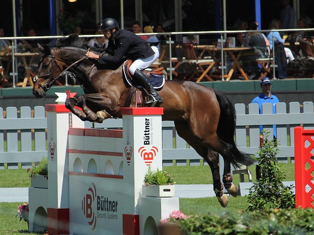 节假期的规 节假期的规