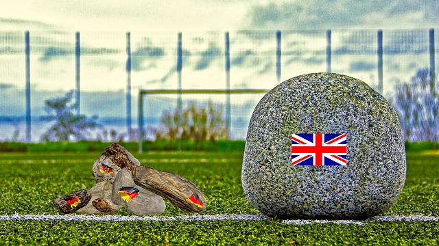 活力和丰富 活力和丰富