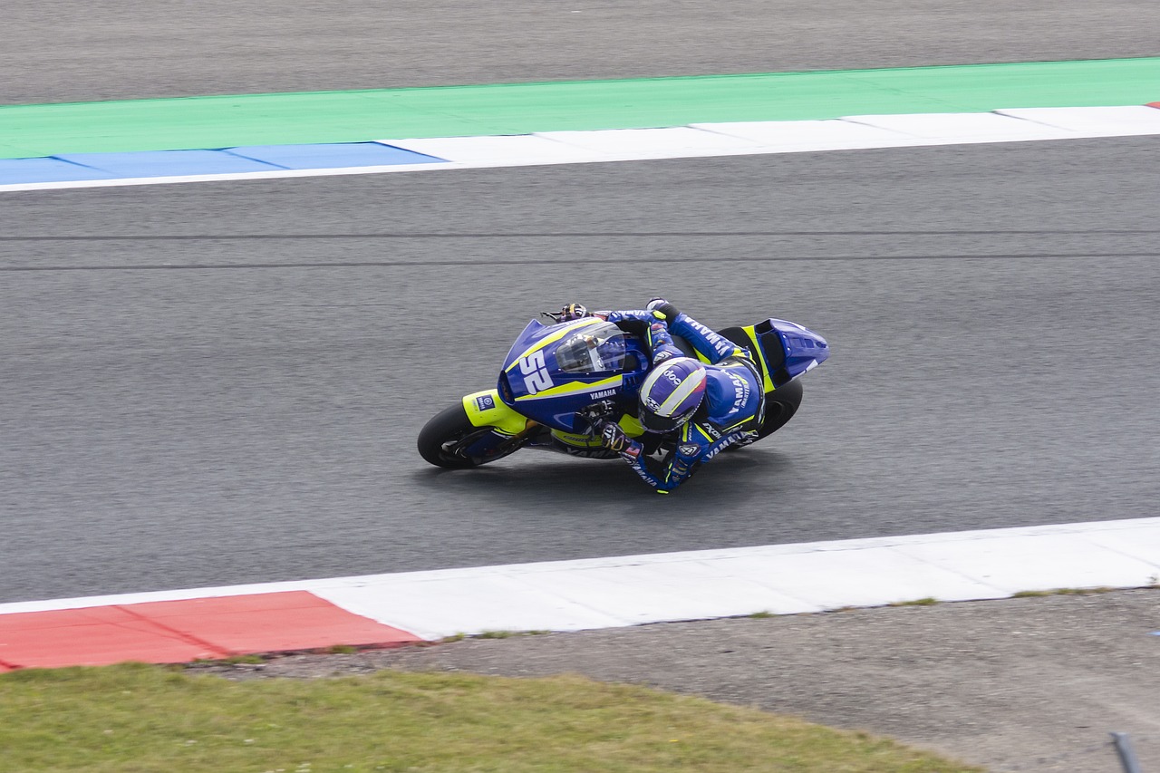 津门虎需要 津门虎需要