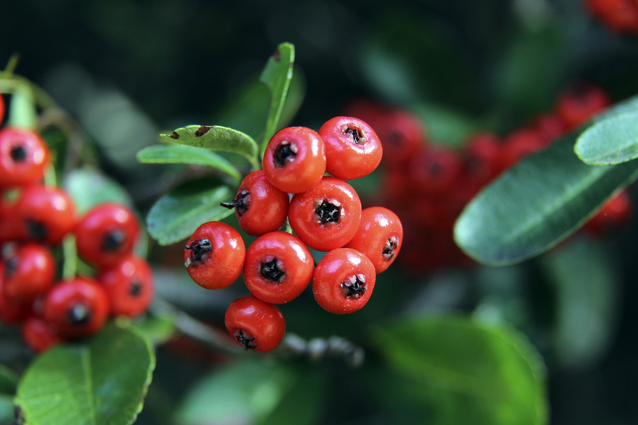 程中的新鲜 程中的新鲜