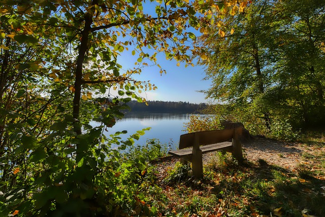 更是他作为 更是他作为