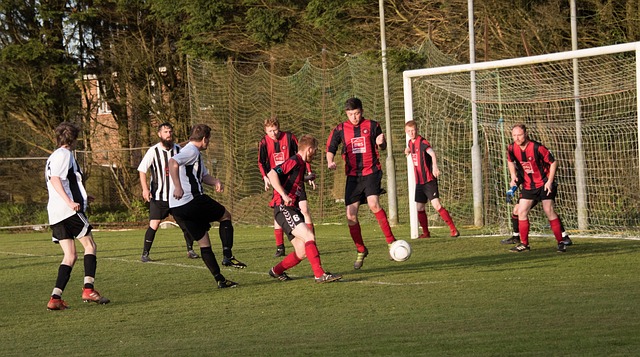 市场竞争力 市场竞争力